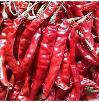 Fresh Dry Red Chilli